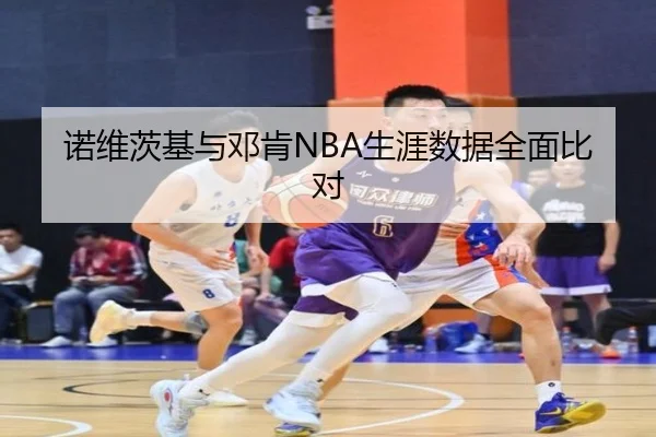 诺维茨基与邓肯NBA生涯数据全面比对